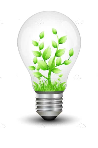 Lightbulb with Green Plant Inside